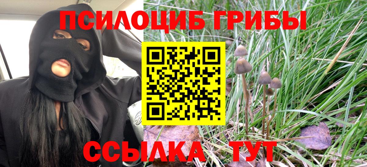 Галлюциногенные грибы GOLDEN TEACHER  Вход с VPN  Ялта 